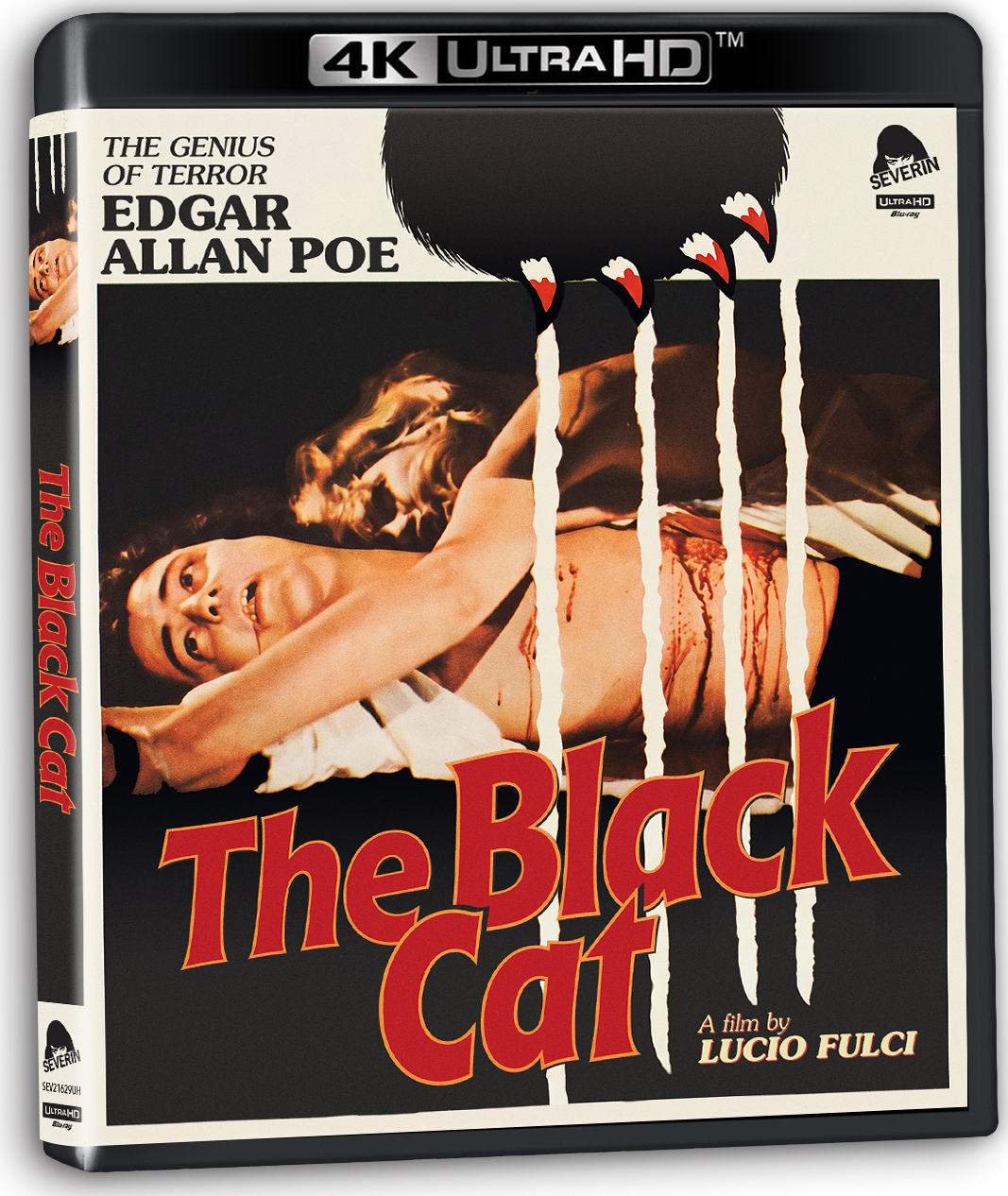The Black Cat 4K